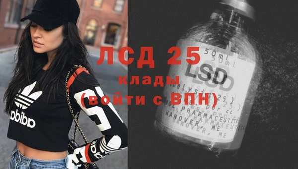 первитин Богданович