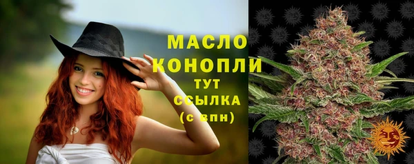 первитин Богданович