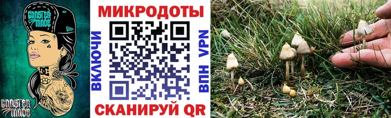 Купить  Малая Вишера  Галлюциногенные грибы GOLDEN TEACHER 